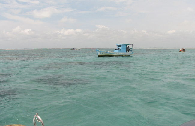 Maracajau Parrachos Reef – Mergulho com Máscara e Snorkel - Foto 1