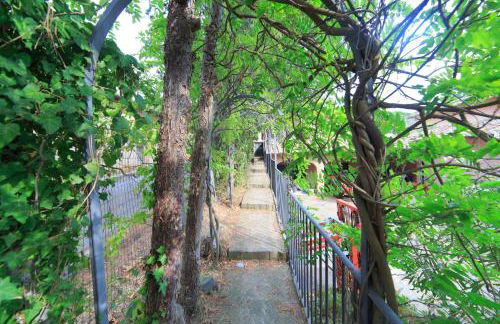 Frascati Country House - Foto 77