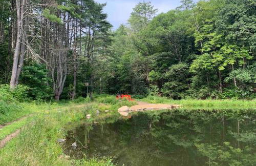 Secluded Farmhouse Near Okemo, Bromley, Sunapee - Foto 26