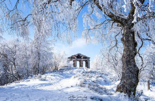 La casa di Alba-Salomé - Foto 40