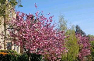 Edgerton Studios - Foto 6