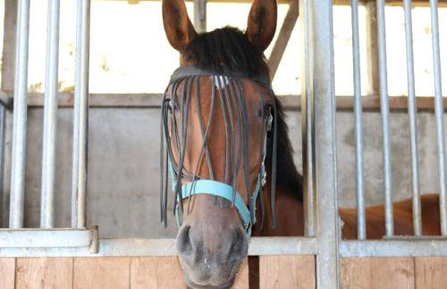 Schwoererhof - Photo 41