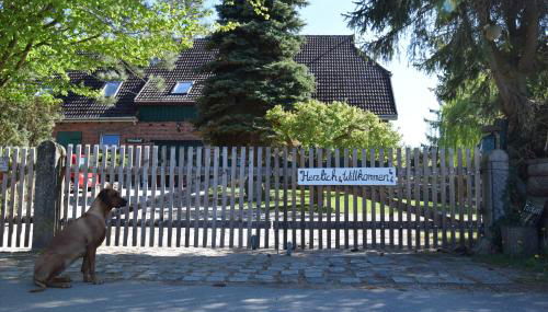 Alpakatherapie und Ferienhof Charlottenthal - Foto 3