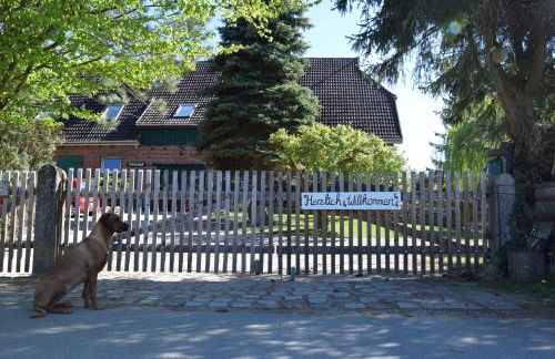 Alpakatherapie und Ferienhof Charlottenthal - Foto 3