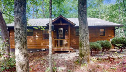 Bear Necessity Cabin - Foto 3