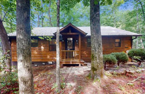 Bear Necessity Cabin - Foto 3