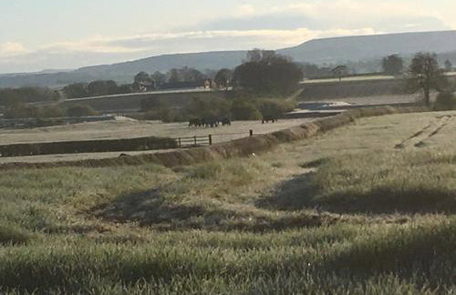 High Oak Holiday Cottage - Foto 23