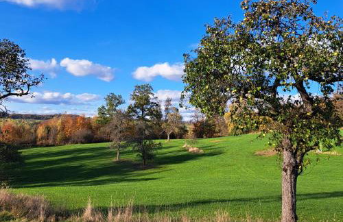 Auszeit im Luftkurort - Foto 21