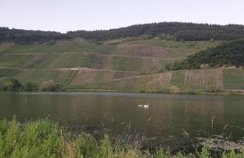 Gorgeous Apartment In Trier With Wifi - Foto 30