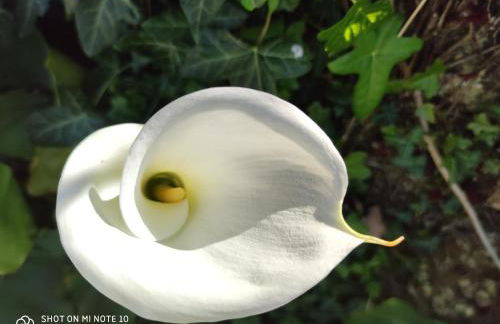 Domaine des Prés de Joussac - Entre Estuaire et Océan - Foto 37