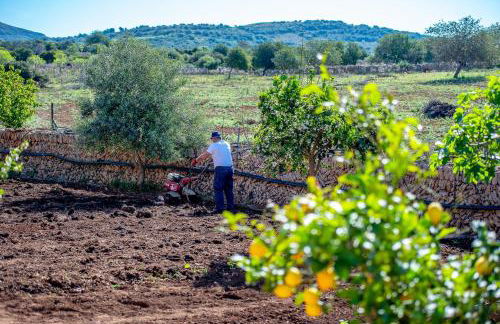 Finca Sos Ferres D'en Morey - Foto 32