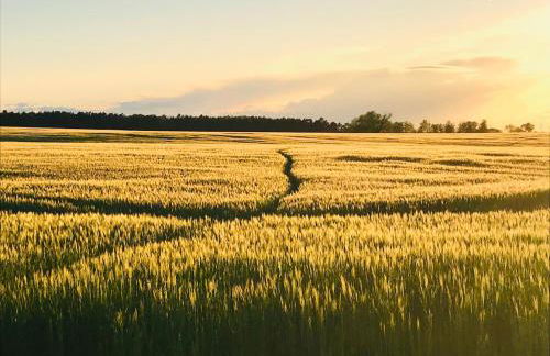 Idyllisches Ferienhaus in ruhiger Lage - Foto 22