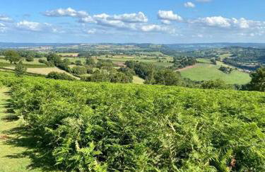 The Owl House Cottage - Foto 30