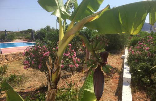 Poseidon Suites Hotel - Foto 35