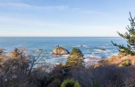 Beautiful Ocean View Cabin and Hot Tub! - Foto 41