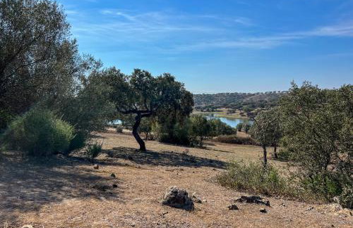 Herdade Terra rica - Photo 48