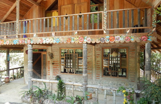 Dogs and Fish Dream Land - Foto 1