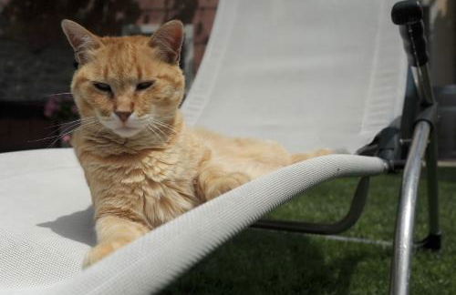 Agriturismo Sol De Montalto - Photo 34