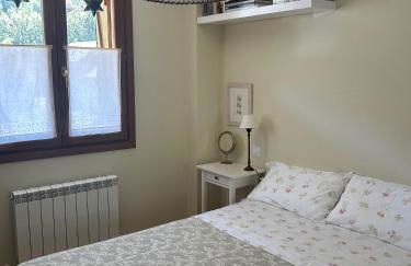 Sallent de Gállego - Formigal - Pirineos Sur - Foto 29