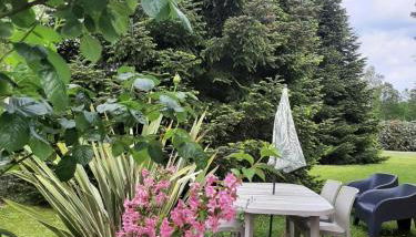 Gite climatisé L'Orée des Landes Proche Center Parcs - Foto 4