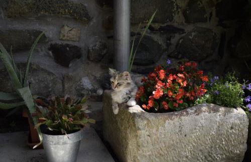 Casa Rural Martiamuno Landetxea - Foto 141