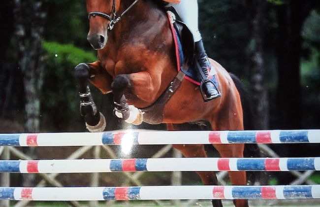 Residenza Erba Di Campo - Photo 15