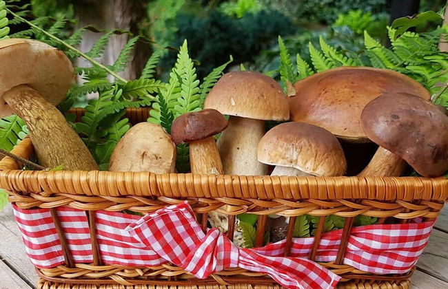 Agriturismo L'Arbo - Foto 20