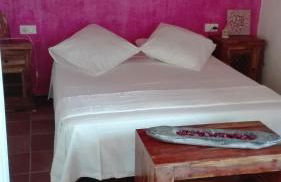 El Terral - Photo 48