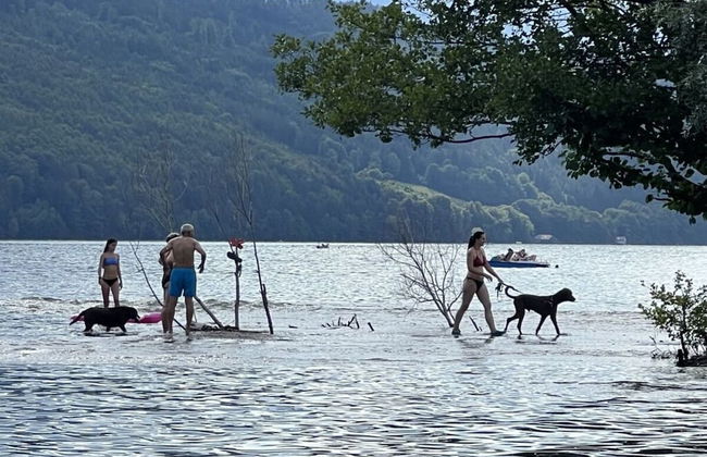 Bungalow House Lammersdorf - Photo 23