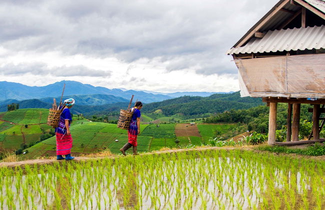 Sapa Rice Terrace Trekking - Photo 1