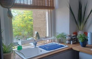 The Fuzzy Duck - Photo 10