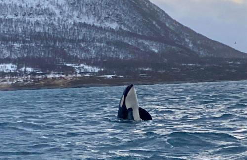 Waterloo Sunset - Foto 18