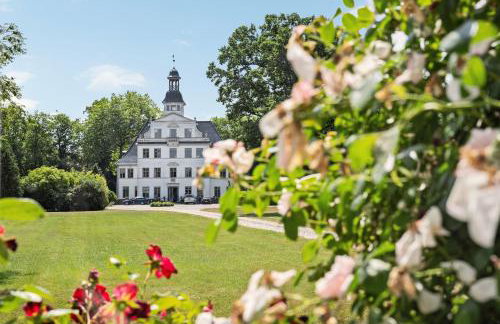 GUT KLETKAMP "Storchennest" - Ferienwohnung im Schlossturm mit 3 Schlafzimmern I Panorama-Turmzimmer mit Naturblick I Gemeinschaftsgarten I 15 Min zur Ostsee I Küche I Parkplatz I WLAN - Foto 13