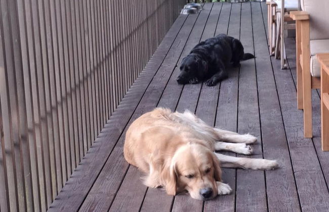 Geresnationalpark-cabin-6bed-balcony-pool-views - Foto 20