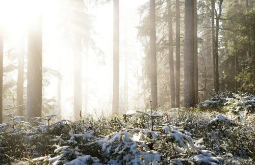 Ferienwohnung Wälderliebe - Foto 22