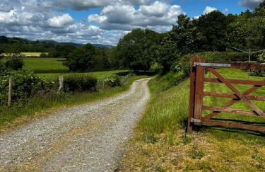 Cwmgwn Farm - Foto 35