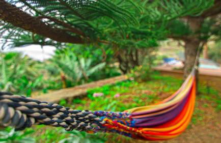 Apartments Finca El Rincón - Foto 46