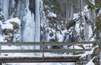 Schwarzwaldglück Loft - Foto 24