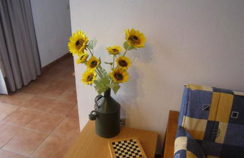 Quinta De Azemeis - Foto 14