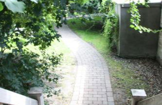 Muschelkorb - Foto 2