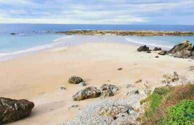 Vut la huertona - Foto 13