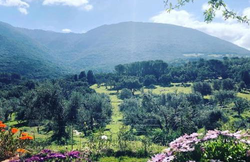 Agriturismo Is Conchisceddas - Foto 78