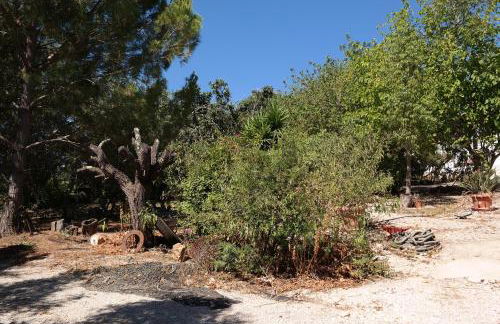 JB - Monte João Moleiro With Shared Pull - Photo 60