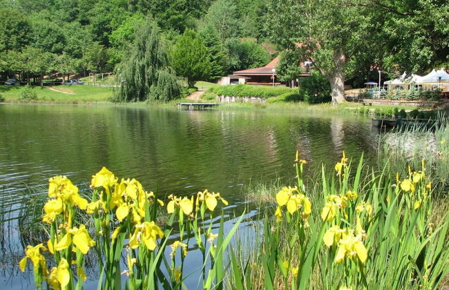 VVF Les Vosges Bitche - Foto 41