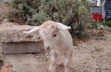 CASA RURAL MARY - Foto 63