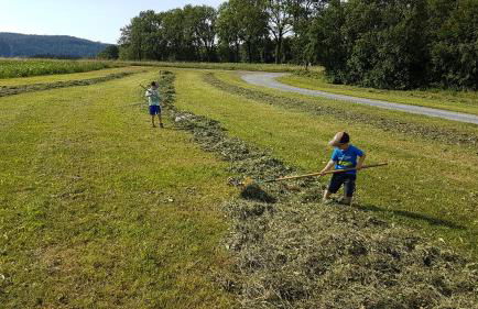 Ferienwohnung FERRUM - Foto 22