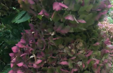 Le Penty du Petit-Kerauret - Photo 38