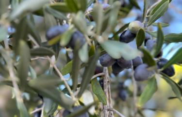 Appartement Villamoura - Foto 25