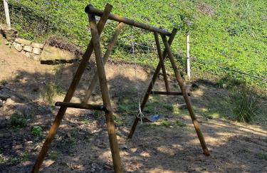 Quinta do Rio Douro - Turismo Rural - Foto 43