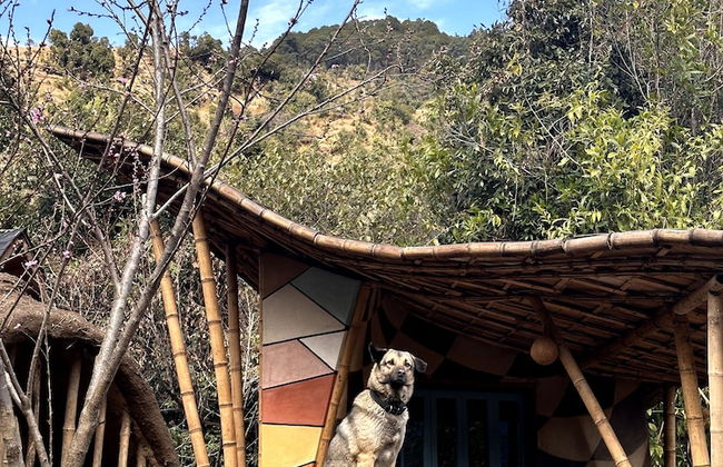 Geeli Mitti - Foto 35